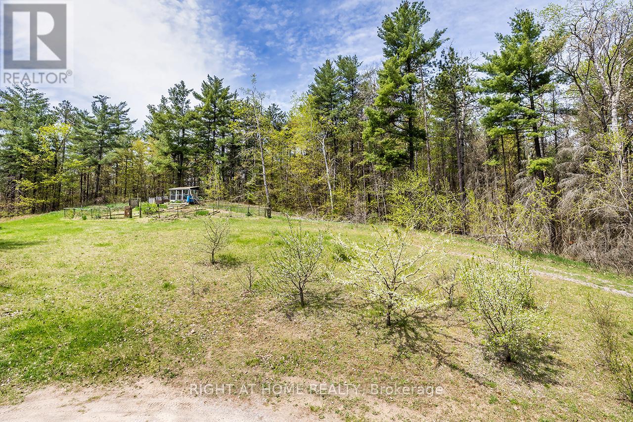 414 Pratt Road, Alnwick/haldimand, Ontario  K0K 3K0 - Photo 38 - X12152488