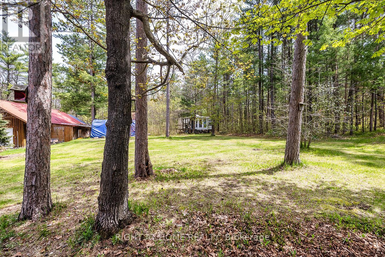 414 Pratt Road, Alnwick/haldimand, Ontario  K0K 3K0 - Photo 42 - X12152488