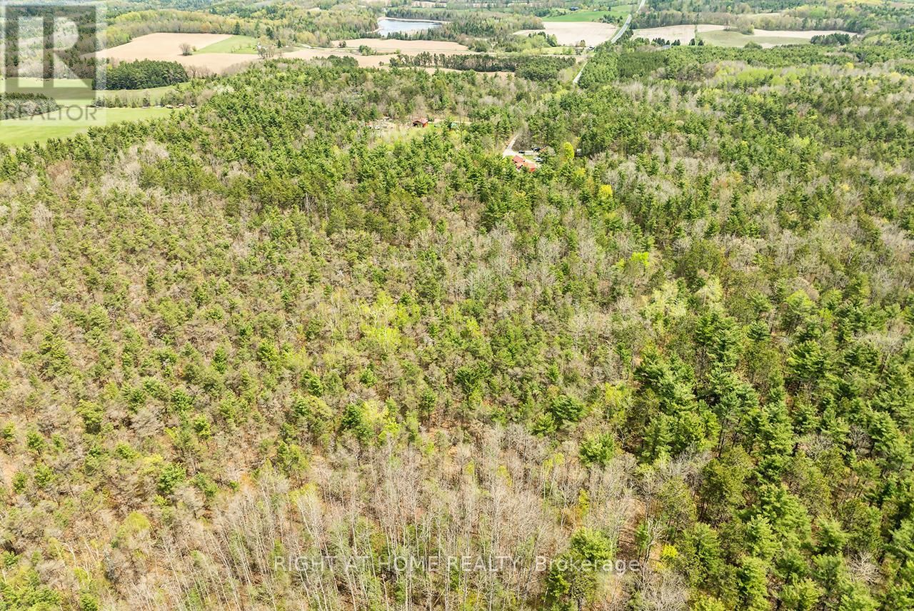 414 Pratt Road, Alnwick/haldimand, Ontario  K0K 3K0 - Photo 47 - X12152488