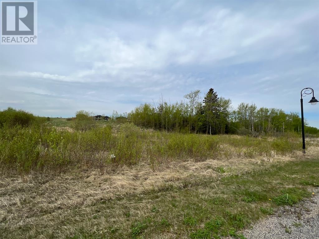 313 Wolf Run Drive, Rural Ponoka County, Alberta  T4J 1R3 - Photo 1 - A2192112