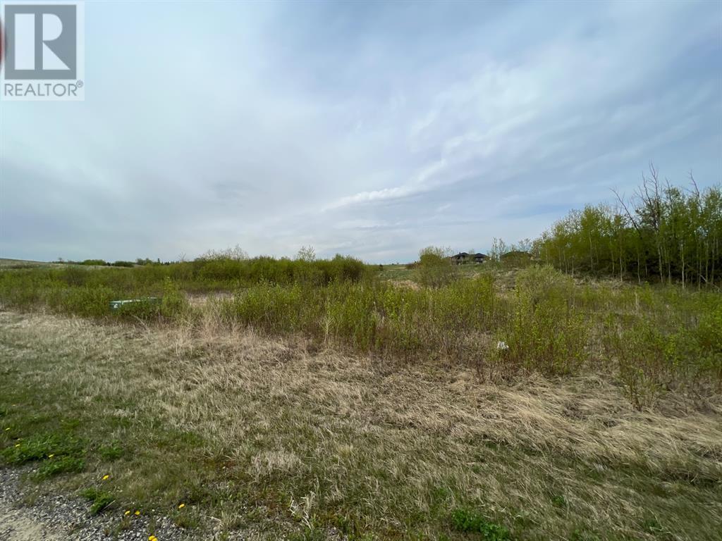 313 Wolf Run Drive, Rural Ponoka County, Alberta  T4J 1R3 - Photo 3 - A2192112