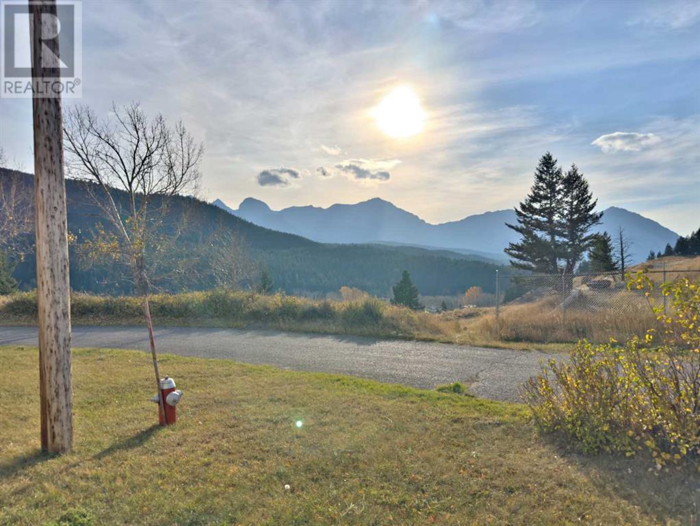 19, 6101 20 Avenue, Coleman, Alberta  T0K 0M0 - Photo 16 - A2221667