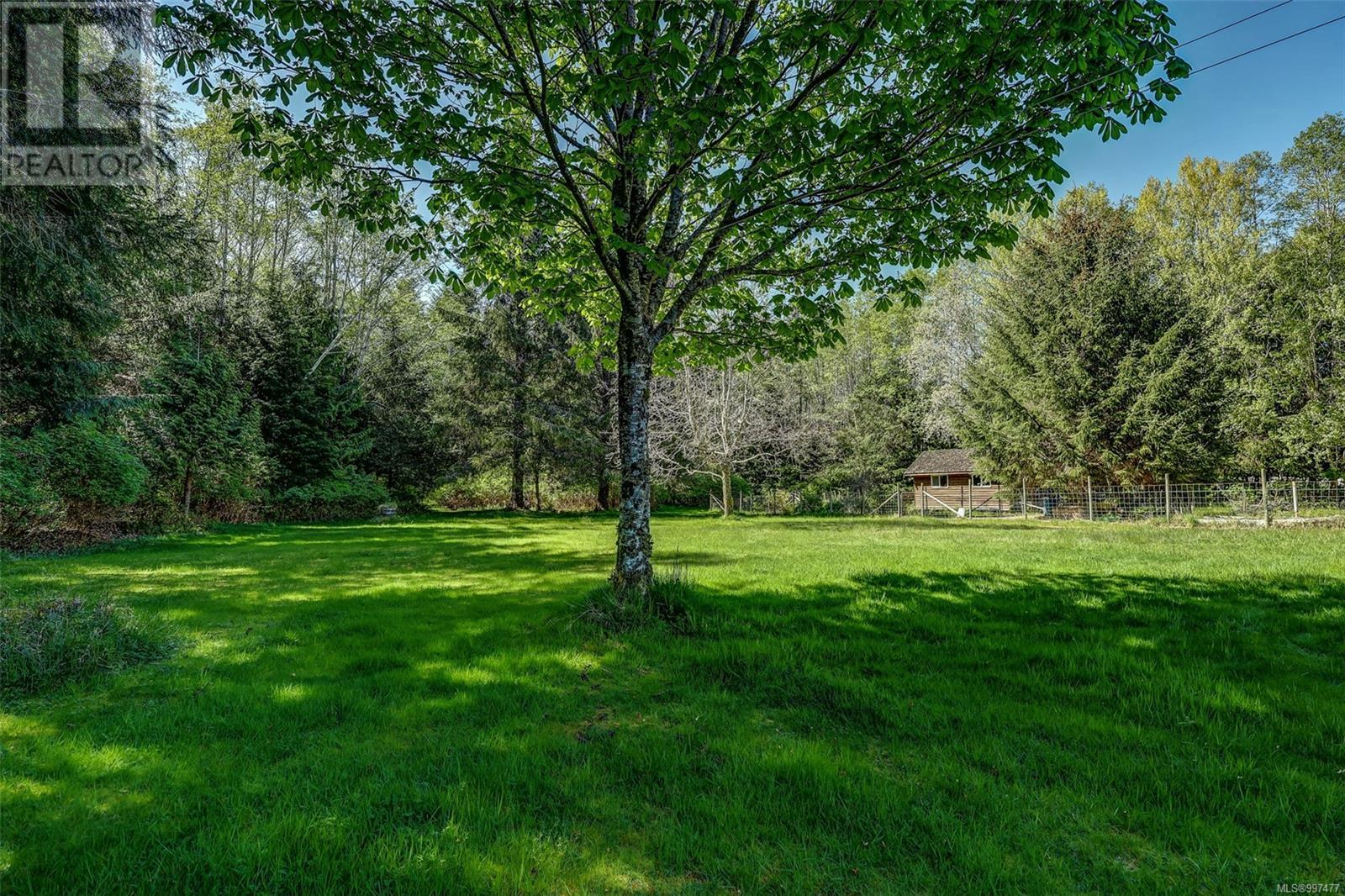 901 Nimpkish Heights Rd, Hyde Creek, British Columbia  V0N 2R0 - Photo 23 - 997477
