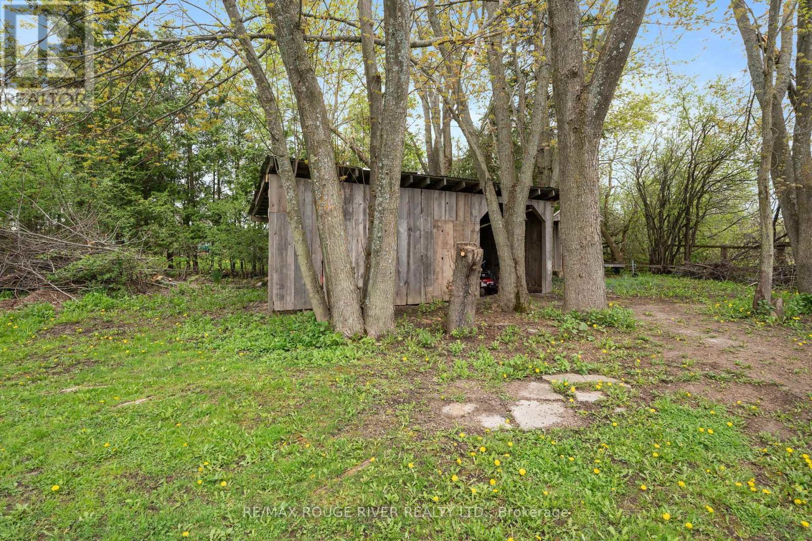 566 Cottingham Road, Kawartha Lakes, Ontario  K0L 2W0 - Photo 38 - X12152698