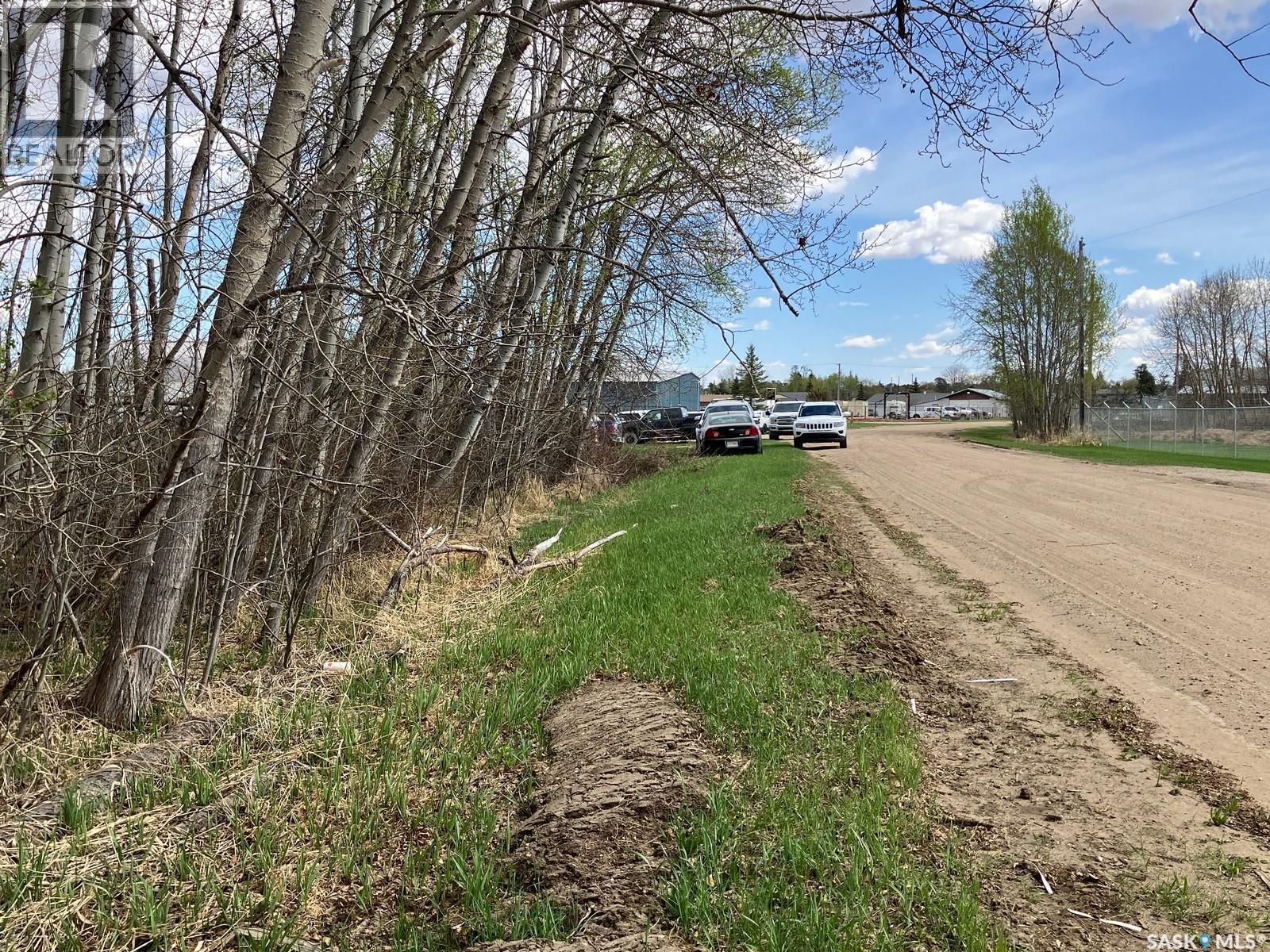 105 W Spruce Avenue, Nipawin, Saskatchewan  S0E 1E0 - Photo 4 - SK993181