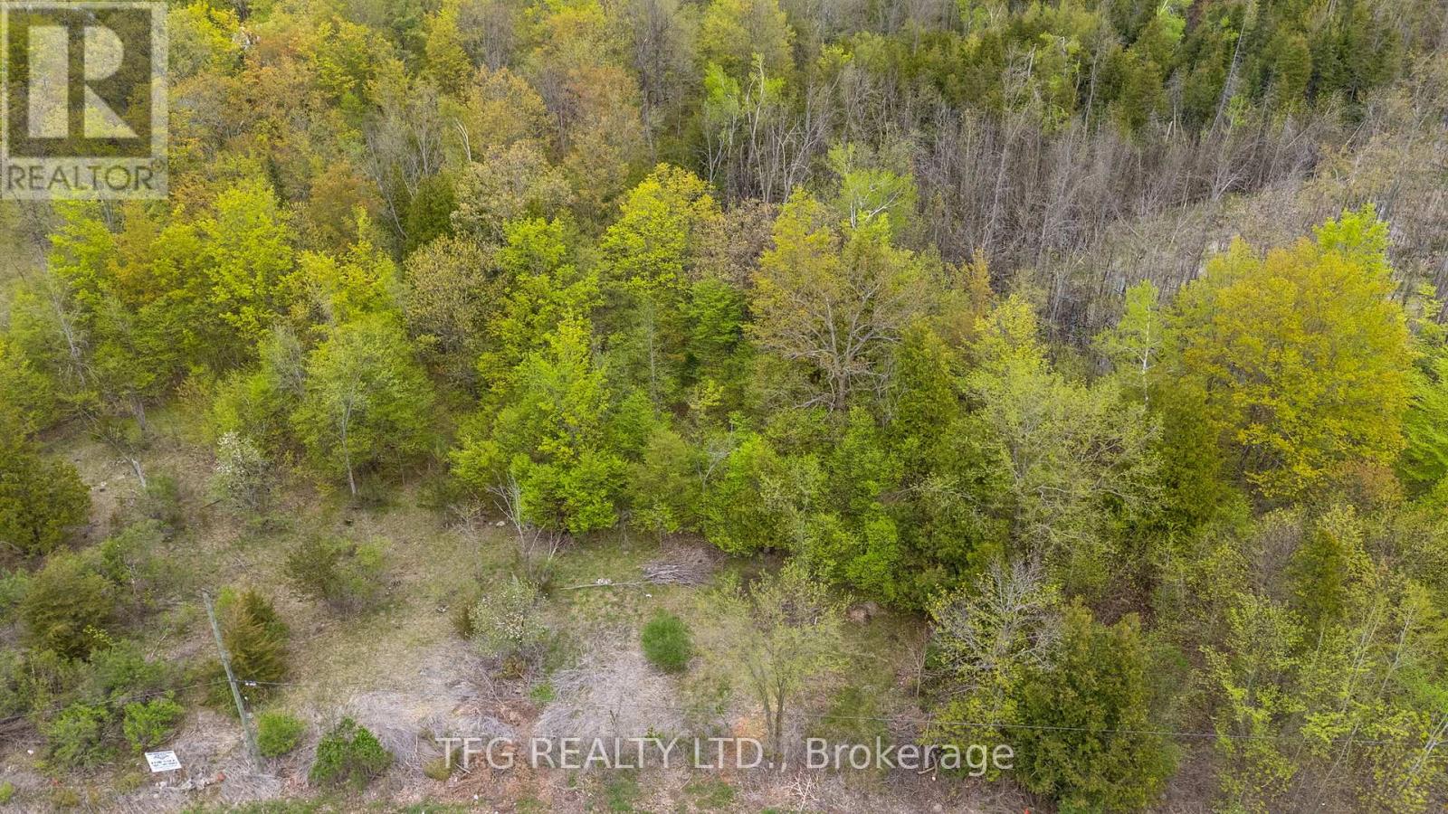 112 Cedar Shores Drive, Trent Hills, Ontario  K0L 1Z0 - Photo 29 - X12149564