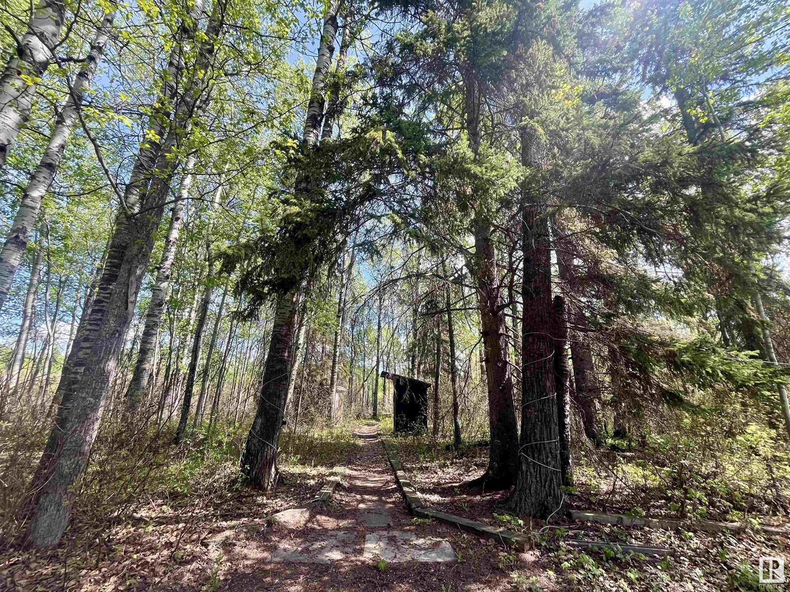 #89 4319 Lakeshore Rd, Rural Parkland County, Alberta  T0E 2K0 - Photo 18 - E4424714
