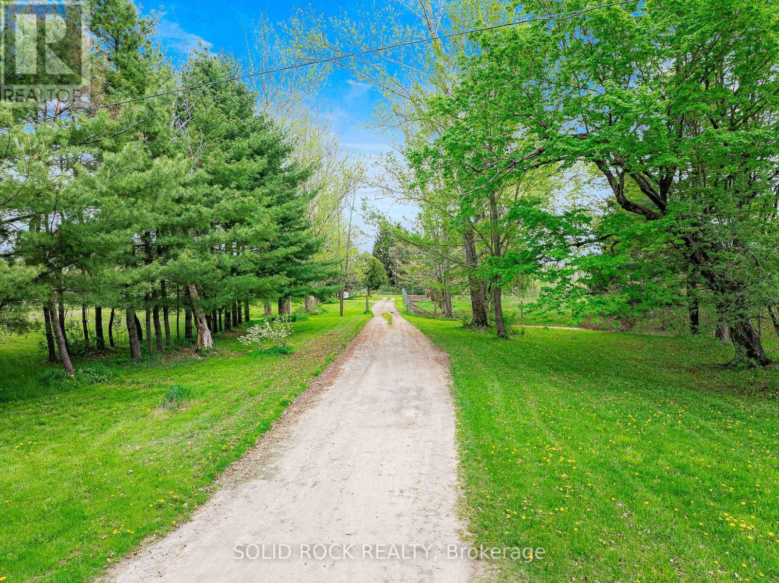 119 Knapp Street, Rideau Lakes, Ontario  K0G 1E0 - Photo 7 - X12032628