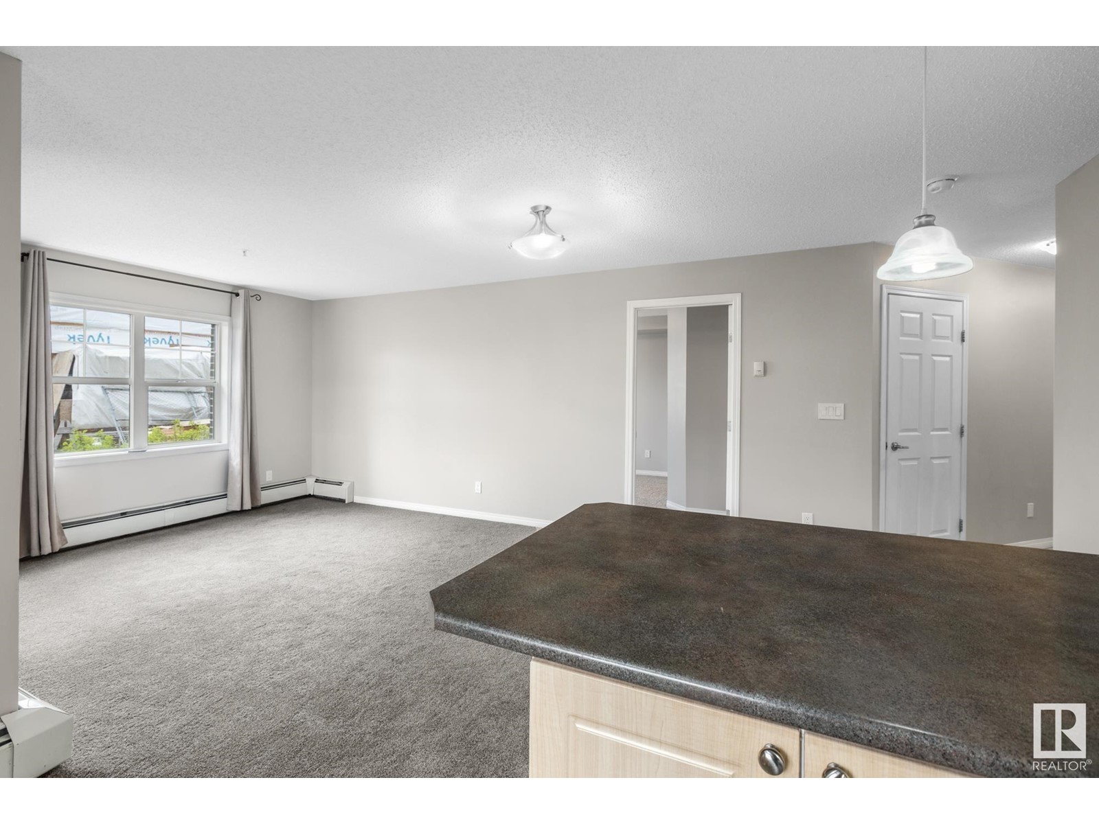 #118 616 Mcallister Lo Sw, Edmonton, Alberta  T6W 1N1 - Photo 11 - E4436559