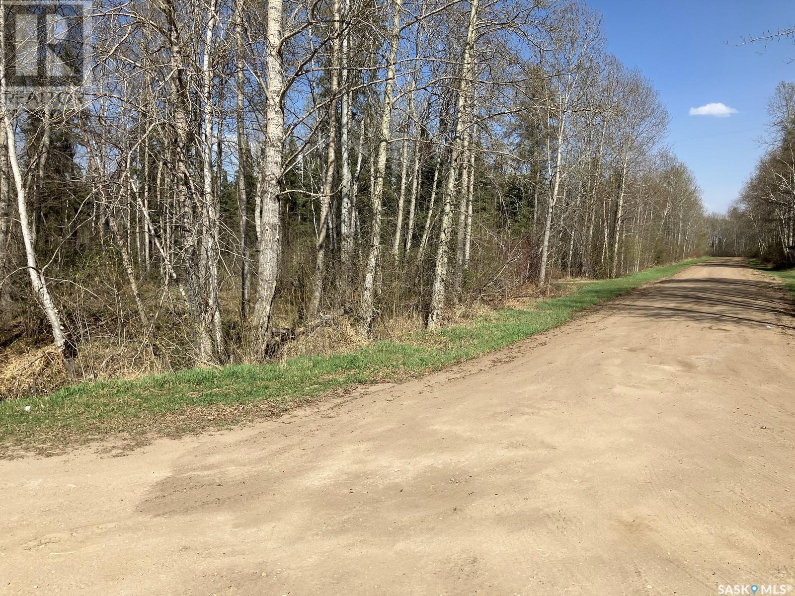 1 W Tamarac Avenue, Nipawin, Saskatchewan  S0E 1E0 - Photo 2 - SK993288