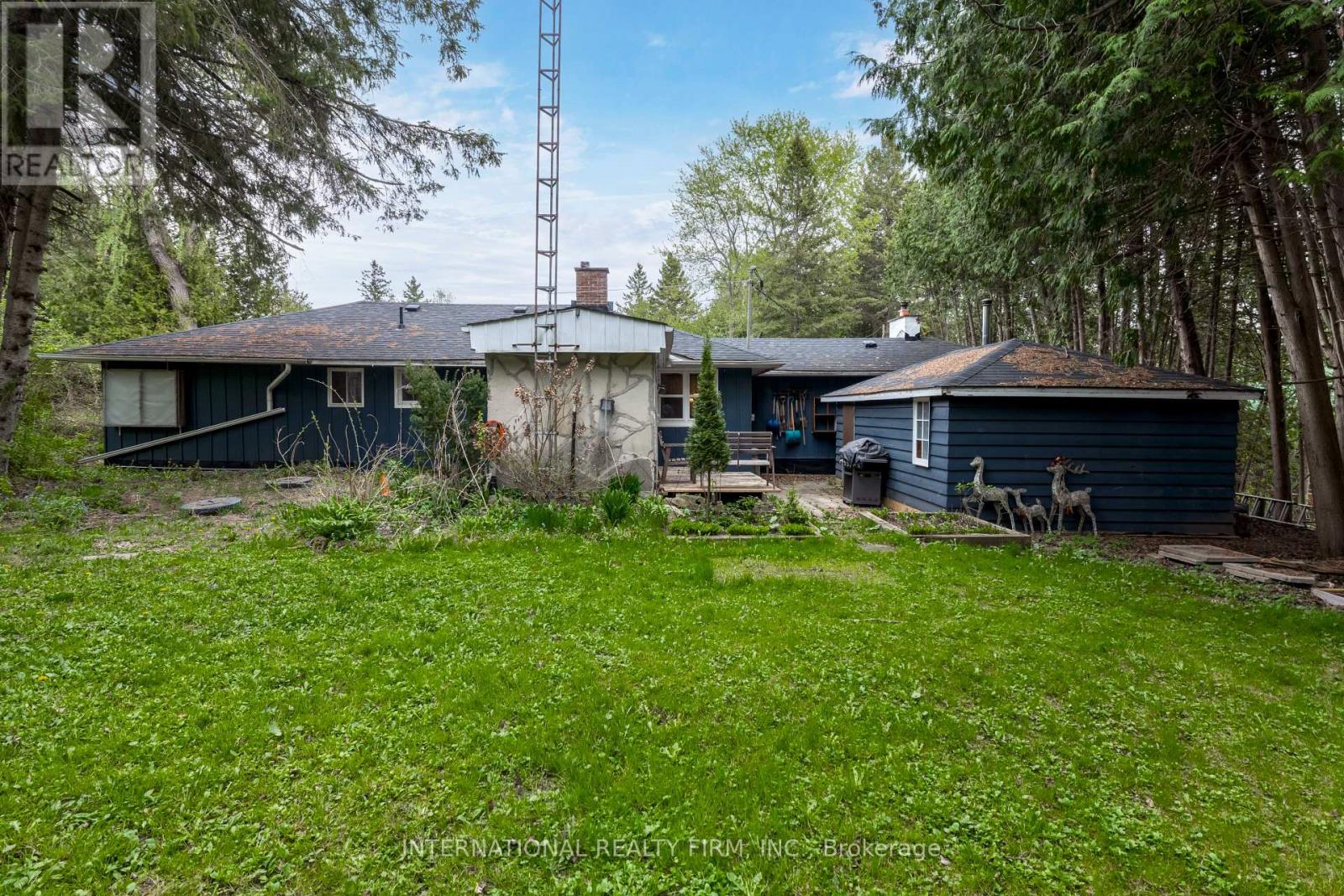 3588 Concession Road 3 Road, Adjala-Tosorontio, Ontario  L9R 1V1 - Photo 42 - N12152855