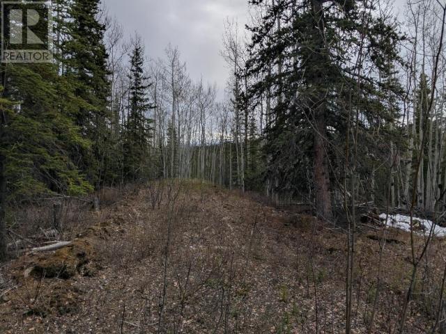 24 Tintina Subdivision, Faro, Yukon  Y0B 1K0 - Photo 10 - 16476
