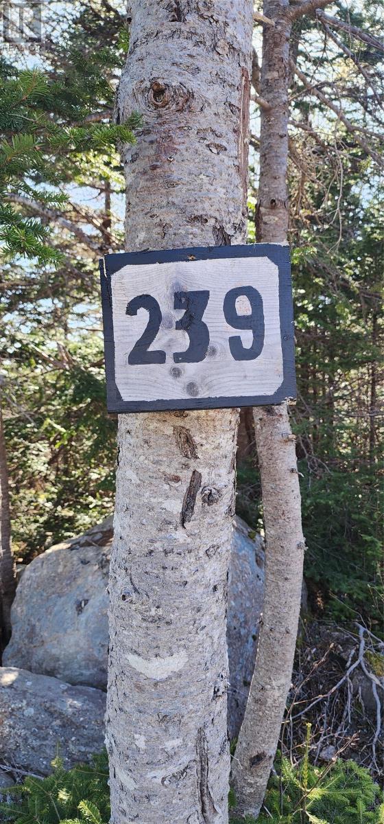 239 Mobile First Pond Road, Mobile, Newfoundland & Labrador  A0A 3A0 - Photo 3 - 1285067