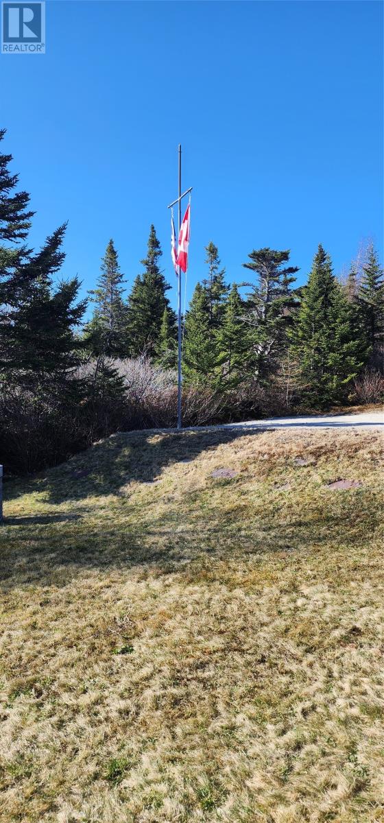 239 Mobile First Pond Road, Mobile, Newfoundland & Labrador  A0A 3A0 - Photo 8 - 1285067