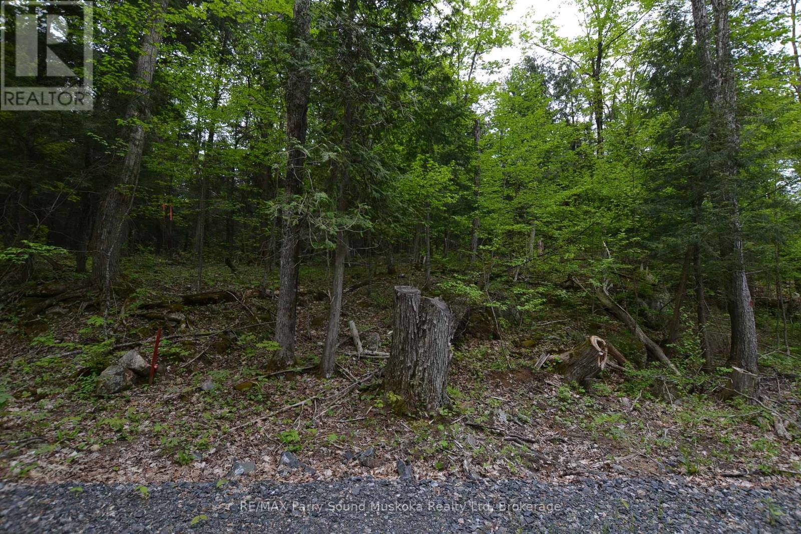 1 Salway Lane, Mckellar, Ontario  P0G 1C0 - Photo 15 - X12152974