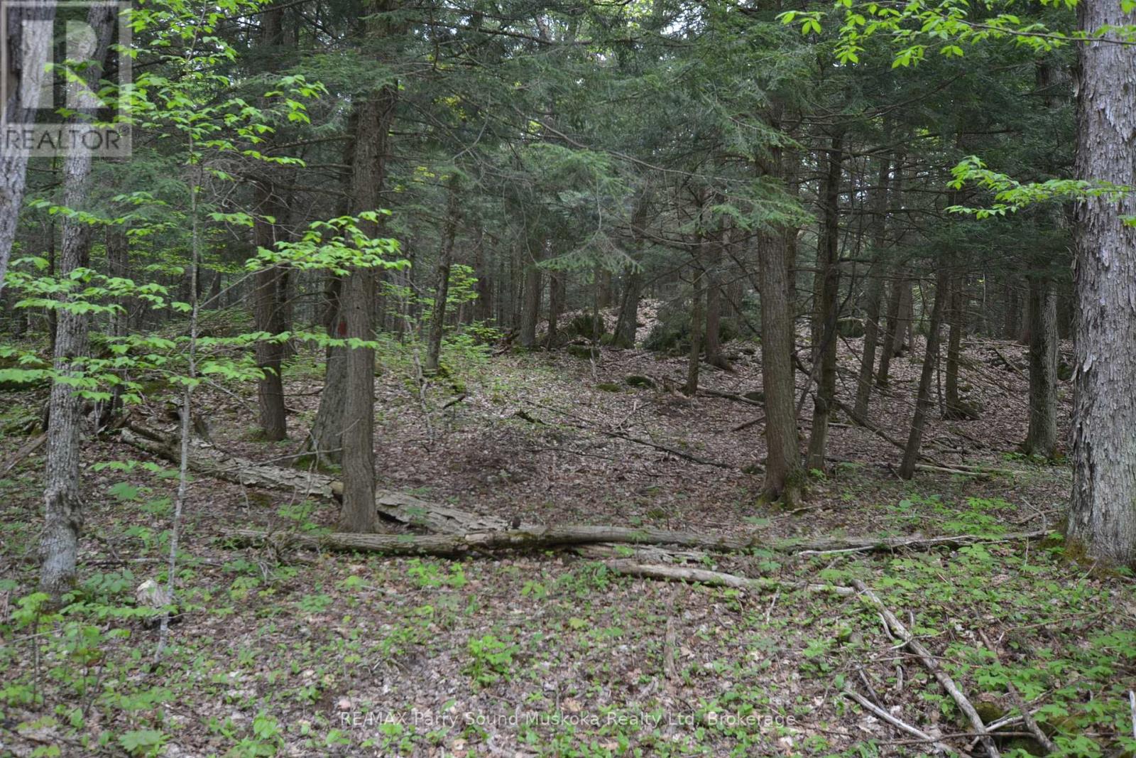 1 Salway Lane, Mckellar, Ontario  P0G 1C0 - Photo 18 - X12152974