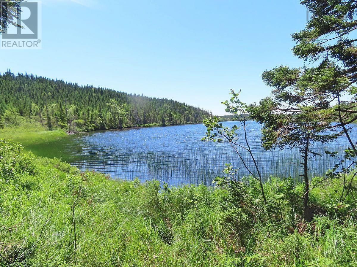 Lot 3 Upper Grand Mira Road, Upper Grand Mira, Nova Scotia  B1K 1M1 - Photo 19 - 202511220