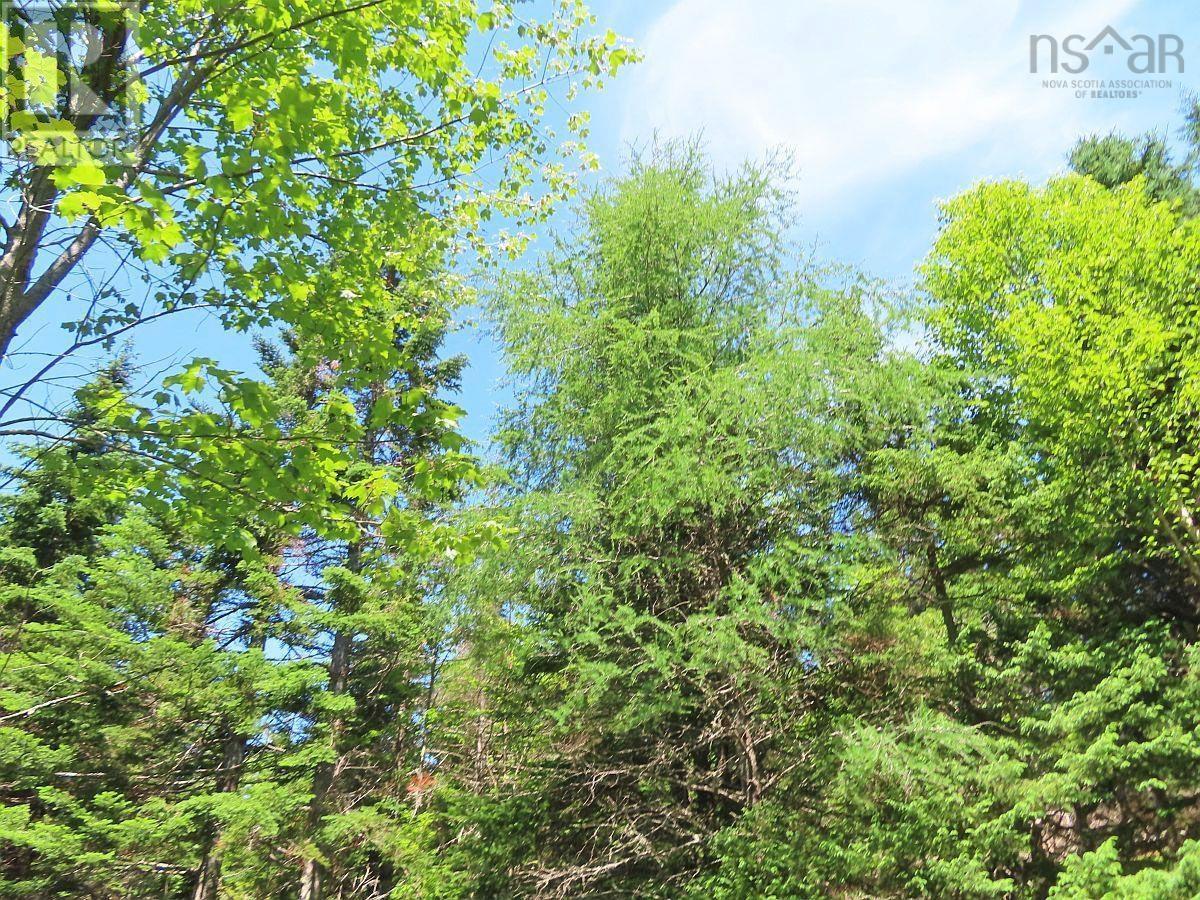 Lot 3 Upper Grand Mira Road, Upper Grand Mira, Nova Scotia  B1K 1M1 - Photo 21 - 202511220