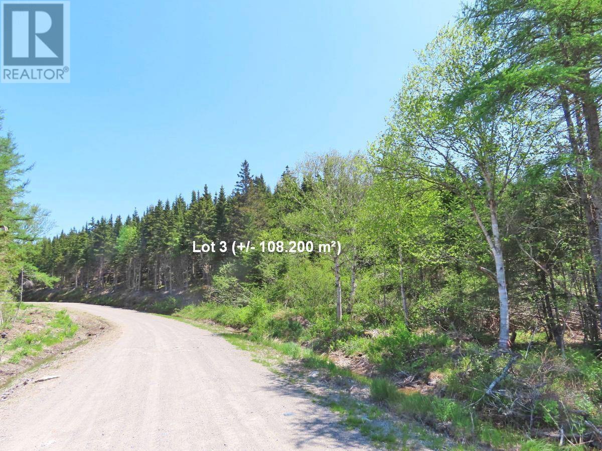Lot 3 Upper Grand Mira Road, Upper Grand Mira, Nova Scotia  B1K 1M1 - Photo 31 - 202511220