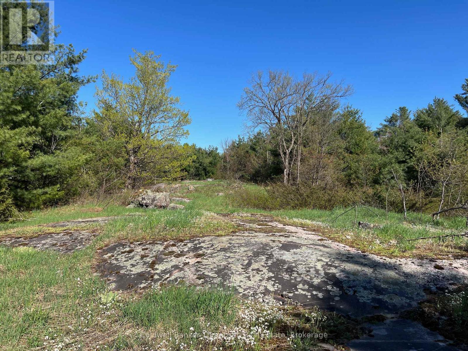 1513 Fairgrounds Road, Ramara, Ontario  L0K 2B0 - Photo 2 - S12152995