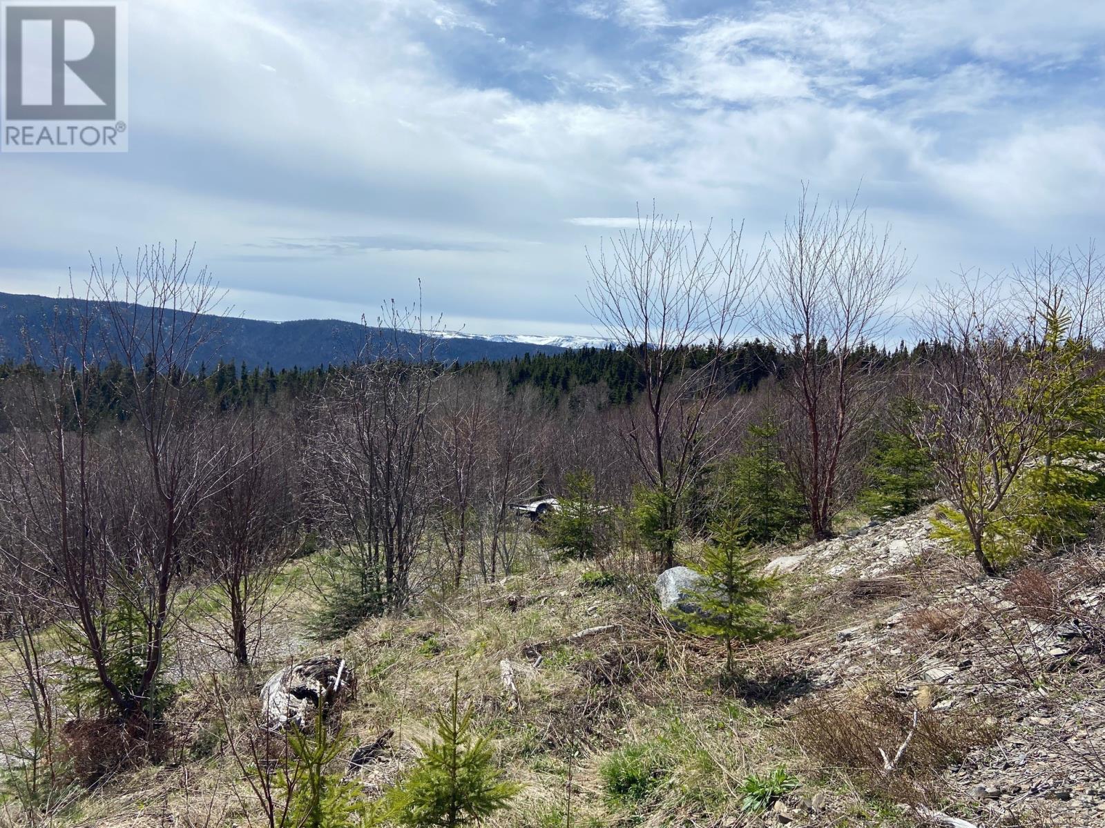 15 Brakes Lane, Meadows, Newfoundland & Labrador  A2H 6B9 - Photo 2 - 1285079