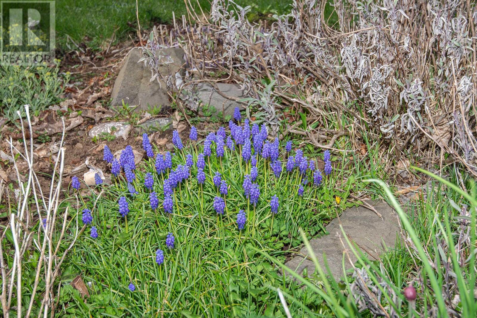 347 Highway 217, Freeport, Nova Scotia  B0V 1B0 - Photo 11 - 202510204