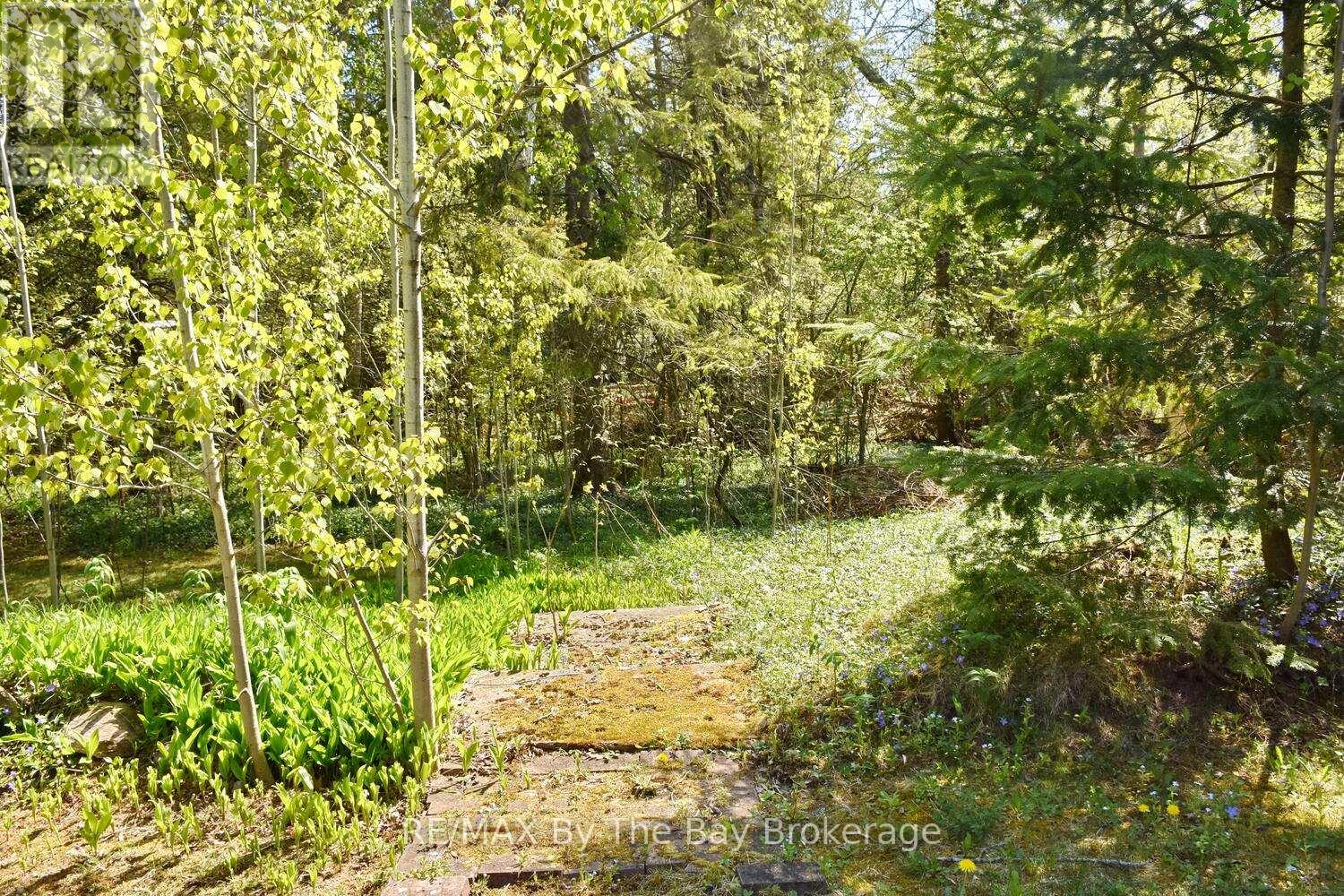 15 Sylvan Avenue, Wasaga Beach, Ontario  L9Z 1T3 - Photo 20 - S12153028