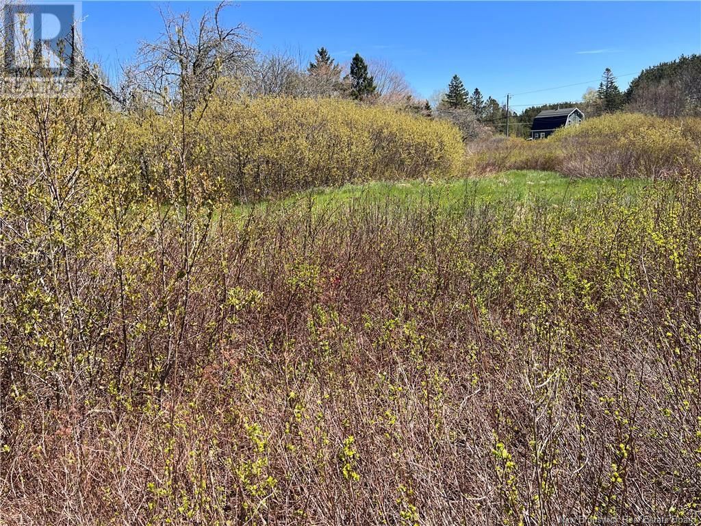 34 Lily Hill Road, Oak Bay, New Brunswick  E3L 4E7 - Photo 40 - NB118595