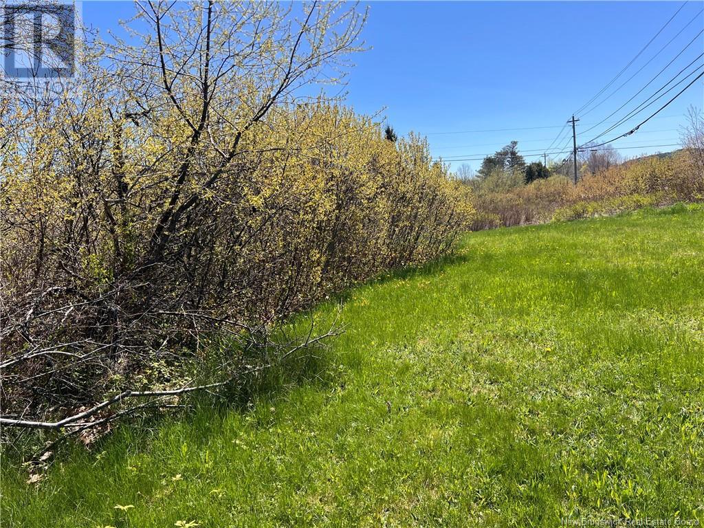 34 Lily Hill Road, Oak Bay, New Brunswick  E3L 4E7 - Photo 38 - NB118595