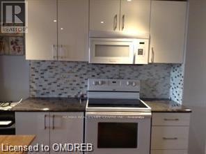 127 Silurian (Basement) Drive, Guelph, Ontario  N1E 7G2 - Photo 8 - X12153042