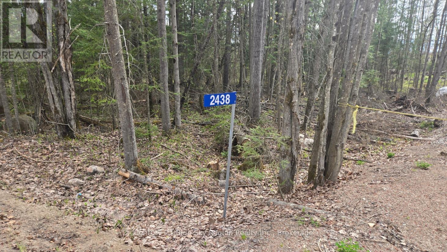 2438 Village Road, Chisholm, Ontario  P0H 1Z0 - Photo 2 - X12153143