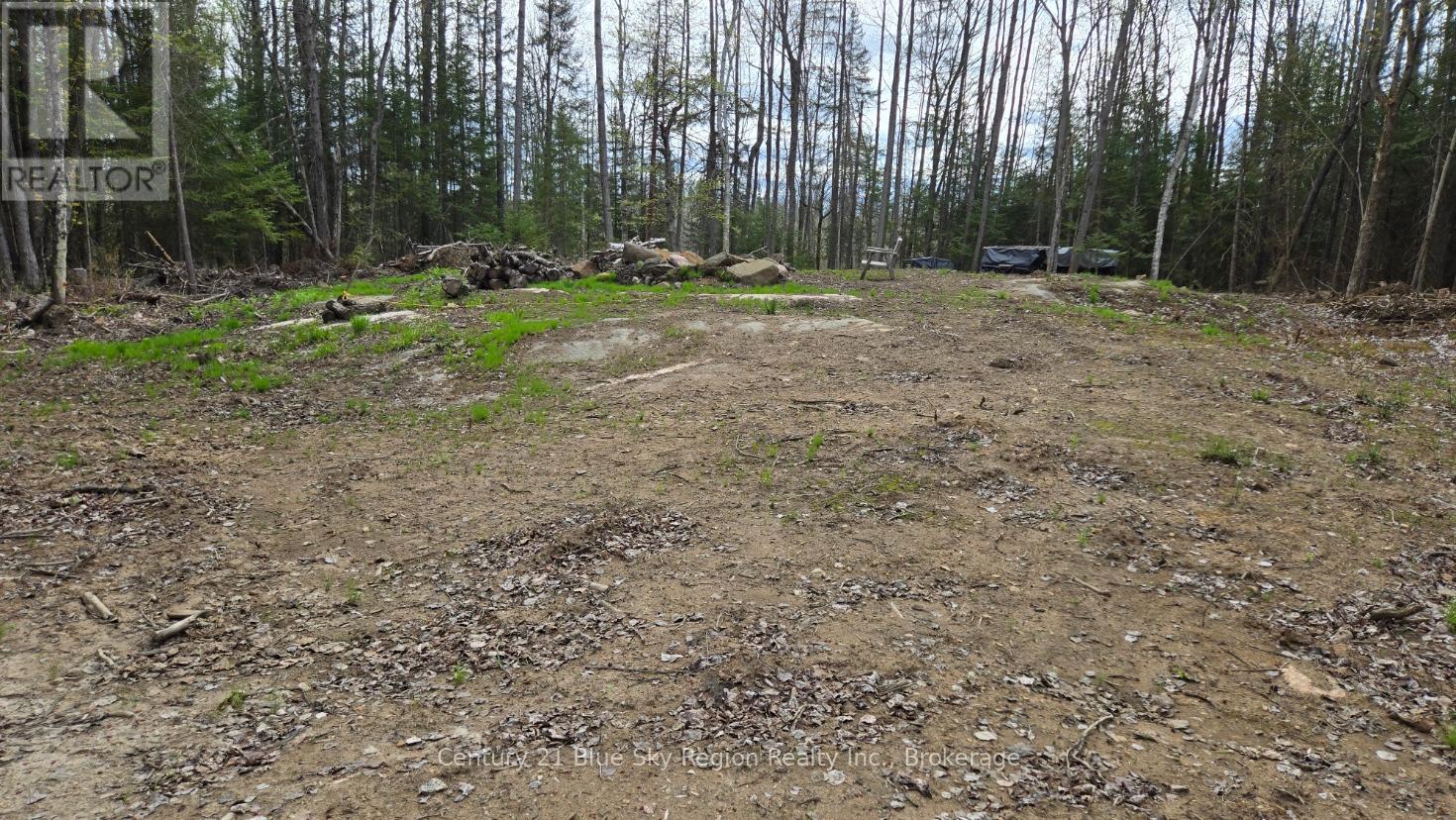 2438 Village Road, Chisholm, Ontario  P0H 1Z0 - Photo 9 - X12153143