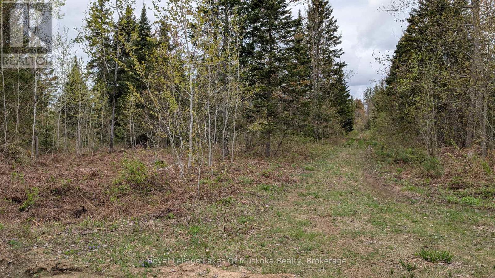 395 Stephenson 1 Road E, Bracebridge, Ontario  P0B 1L0 - Photo 10 - X12153073