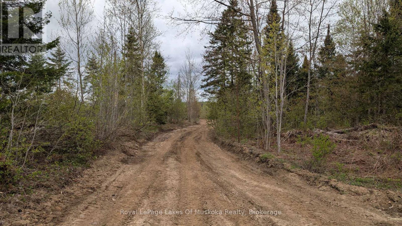 395 Stephenson 1 Road E, Bracebridge, Ontario  P0B 1L0 - Photo 11 - X12153073