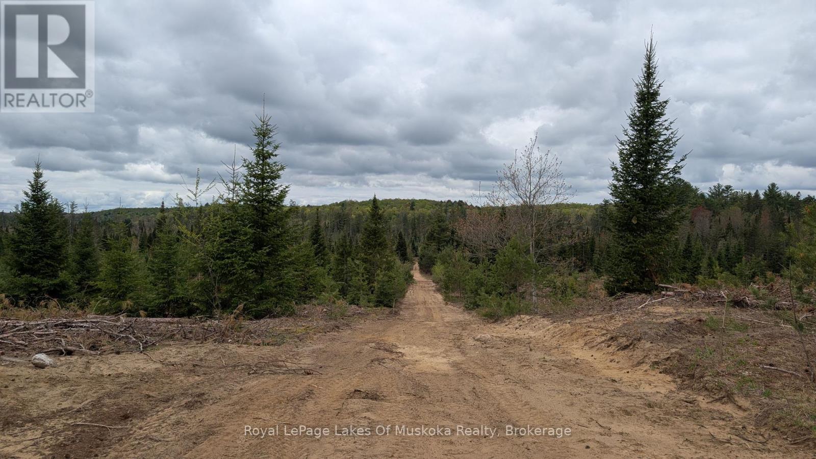 395 Stephenson 1 Road E, Bracebridge, Ontario  P0B 1L0 - Photo 16 - X12153073