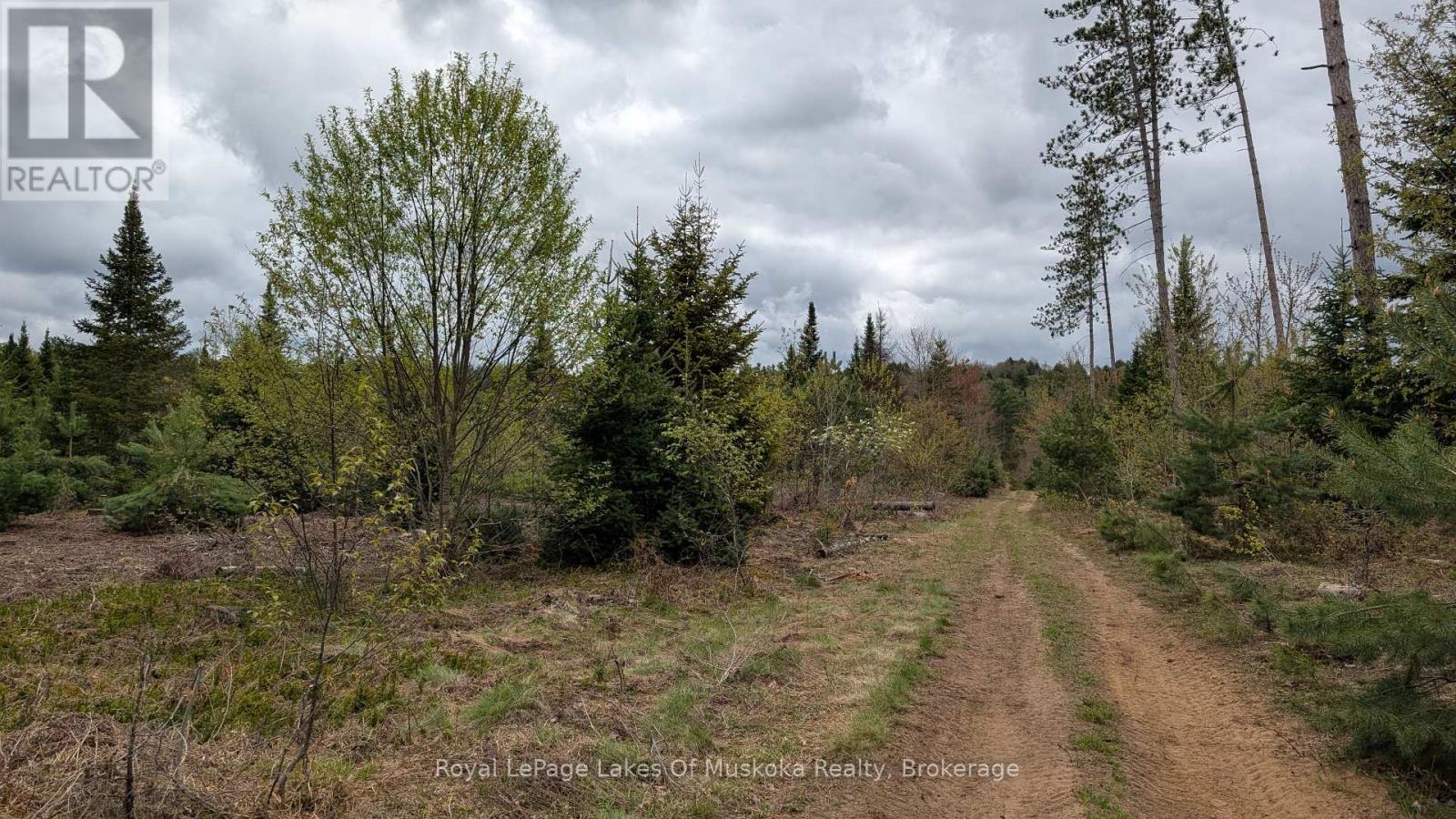 395 Stephenson 1 Road E, Bracebridge, Ontario  P0B 1L0 - Photo 17 - X12153073