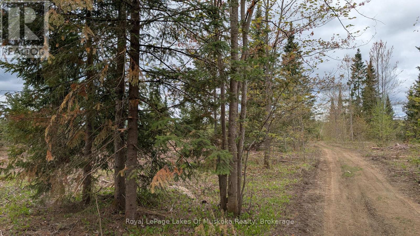 395 Stephenson 1 Road E, Bracebridge, Ontario  P0B 1L0 - Photo 21 - X12153073