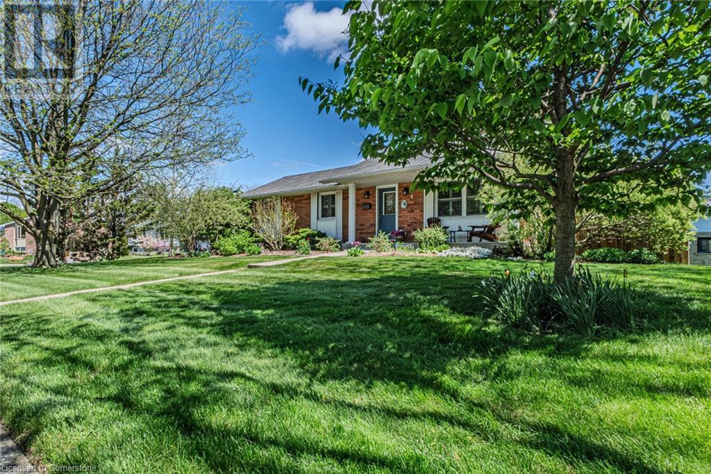 Property at 5 BRANT Street image 3