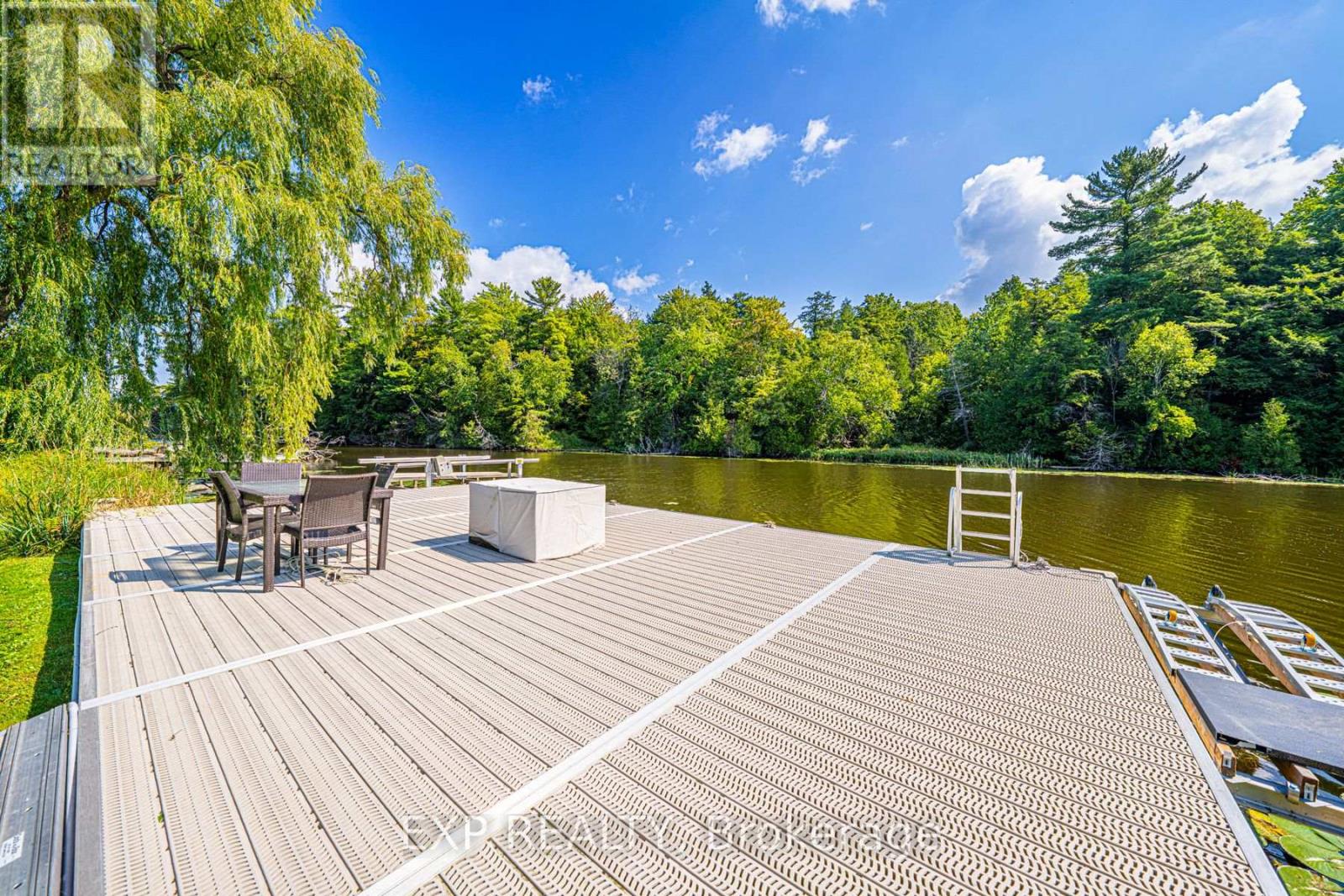 5 Birch Knoll Road, Georgina, Ontario  L0E 1R0 - Photo 4 - N12153081