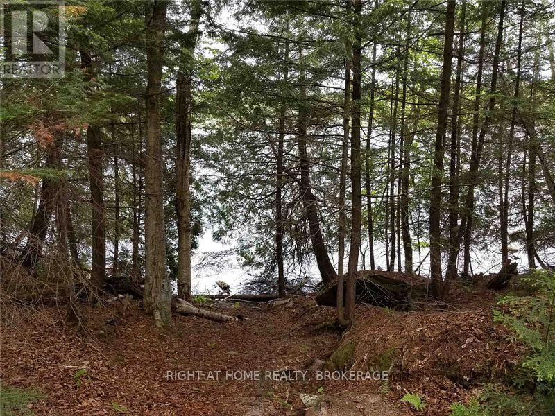 273c Clam Lake Road, Kearney, Ontario  P0A 1M0 - Photo 10 - X12153128
