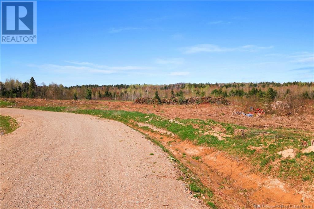 Lot 23-4 Route 105, Nackawic, New Brunswick  O0O 0O0 - Photo 12 - NB093039