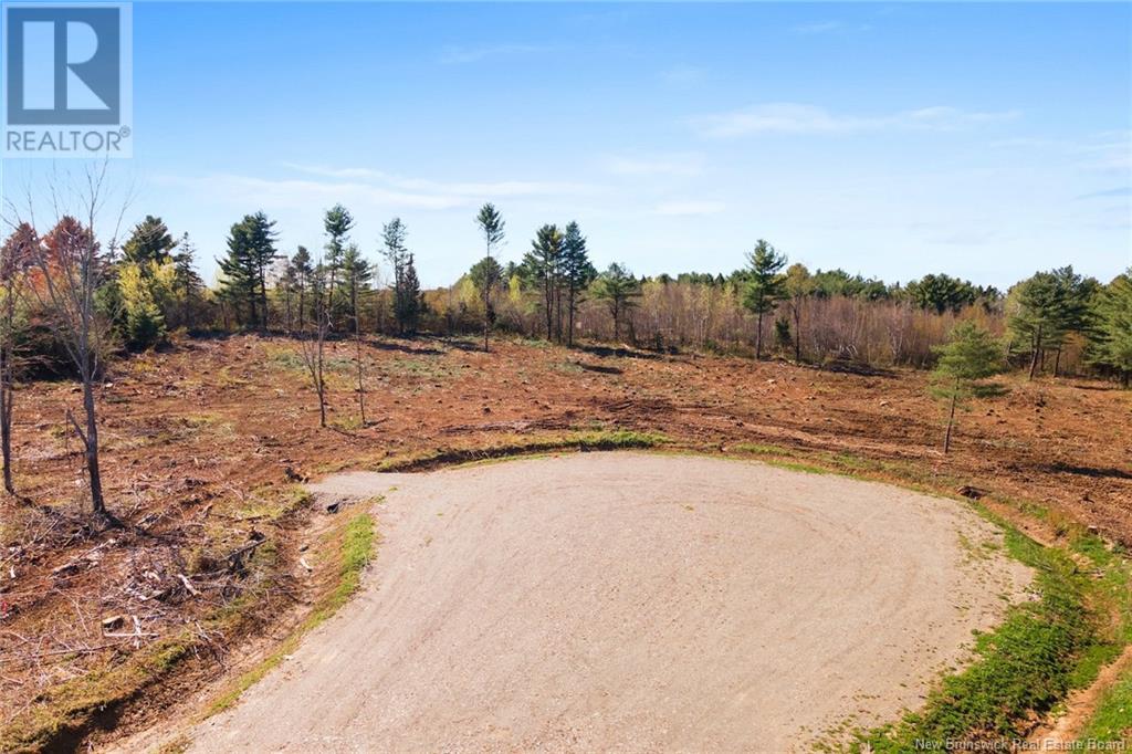 Lot 23-4 Route 105, Nackawic, New Brunswick  O0O 0O0 - Photo 14 - NB093039