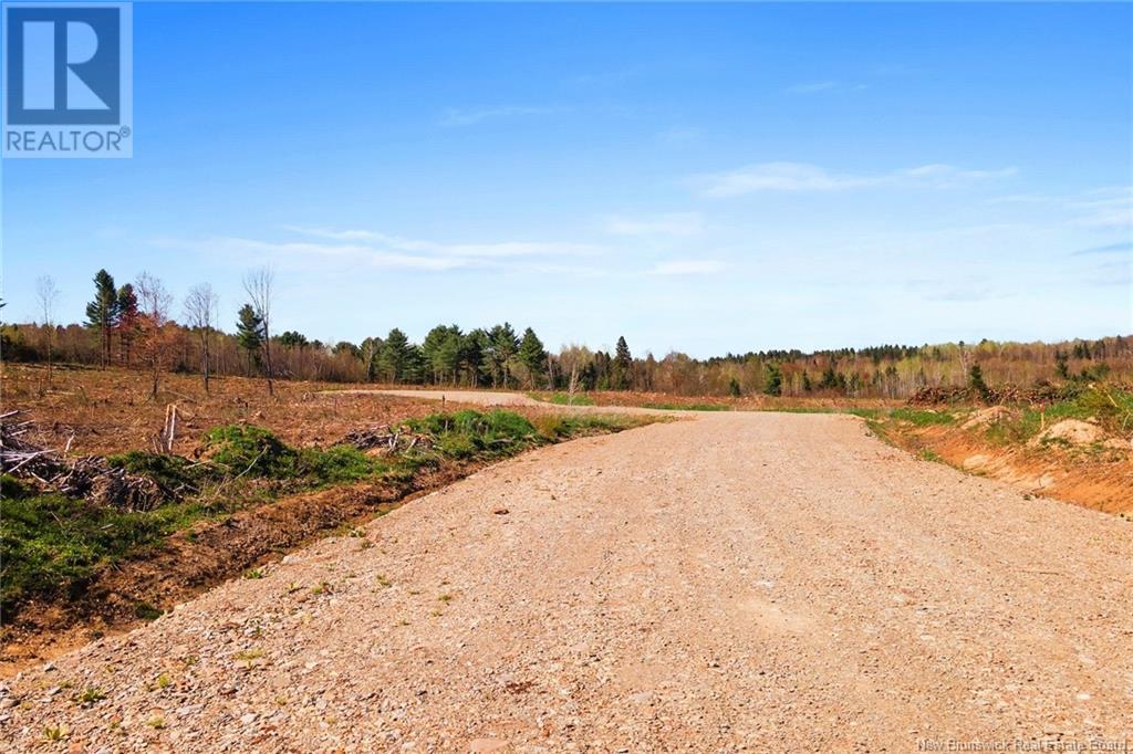 Lot 23-4 Route 105, Nackawic, New Brunswick  O0O 0O0 - Photo 10 - NB093039