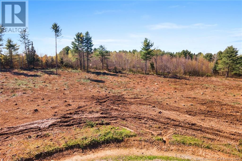 Lot 23-5 Route 105, Nackawic, New Brunswick  O0O 0O0 - Photo 15 - NB093040