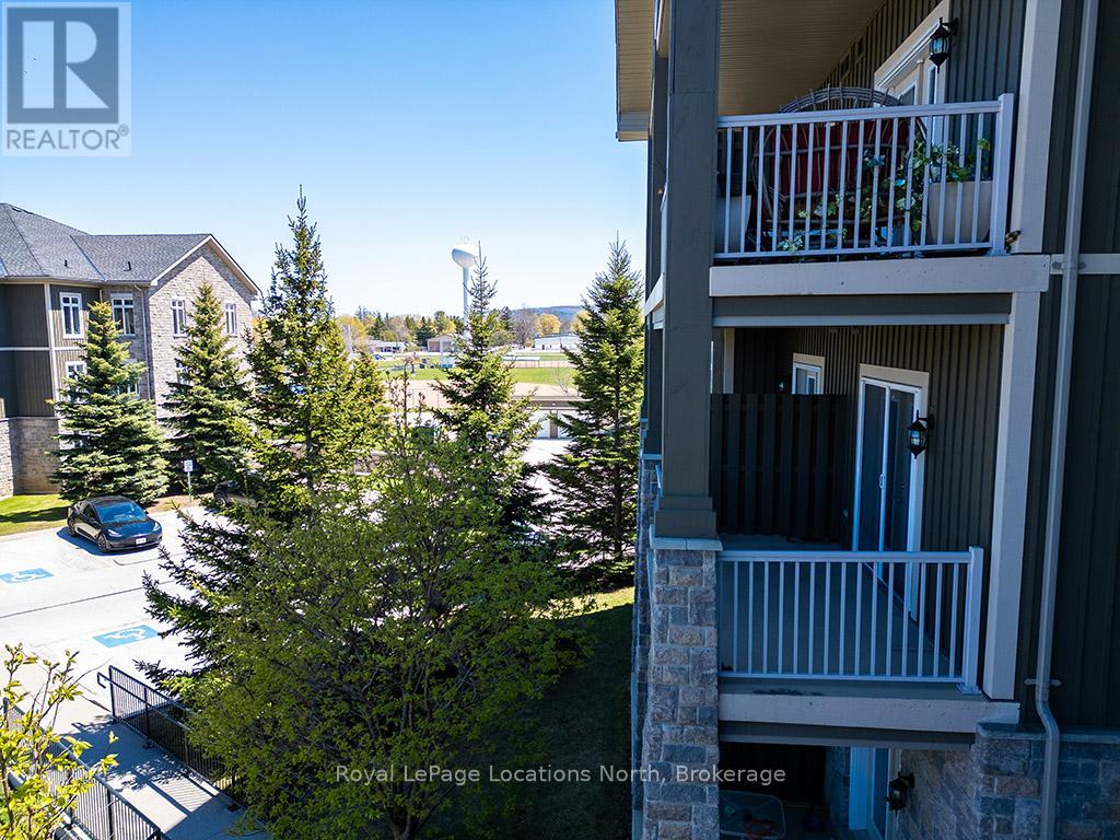 203 - 25 Beaver Street S, Blue Mountains, Ontario  N0H 2P0 - Photo 16 - X12153171