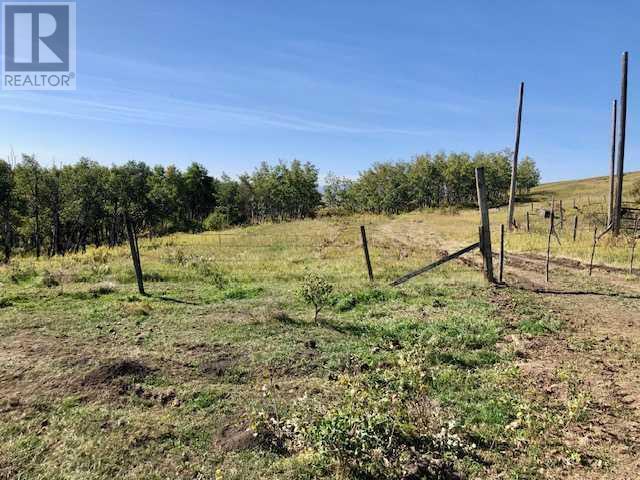 306 Avenue W, Rural Foothills County, Alberta  T2S 1A2 - Photo 45 - A2221806