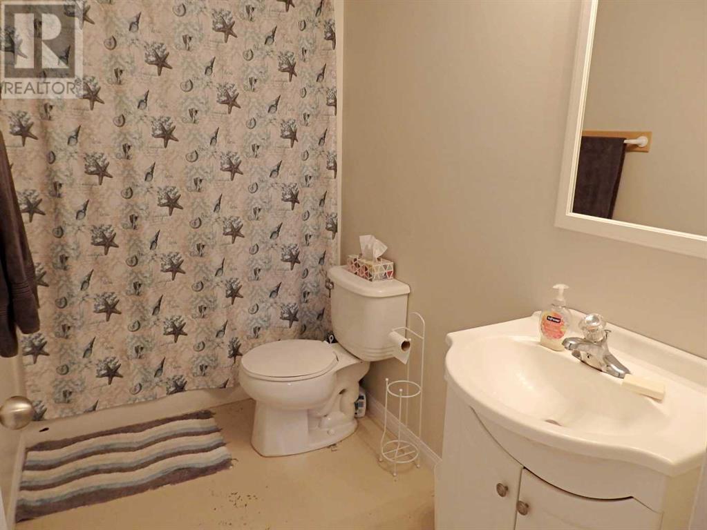 4406 54 Avenue, Vermilion, Alberta  T9X 1P9 - Photo 37 - A2220724
