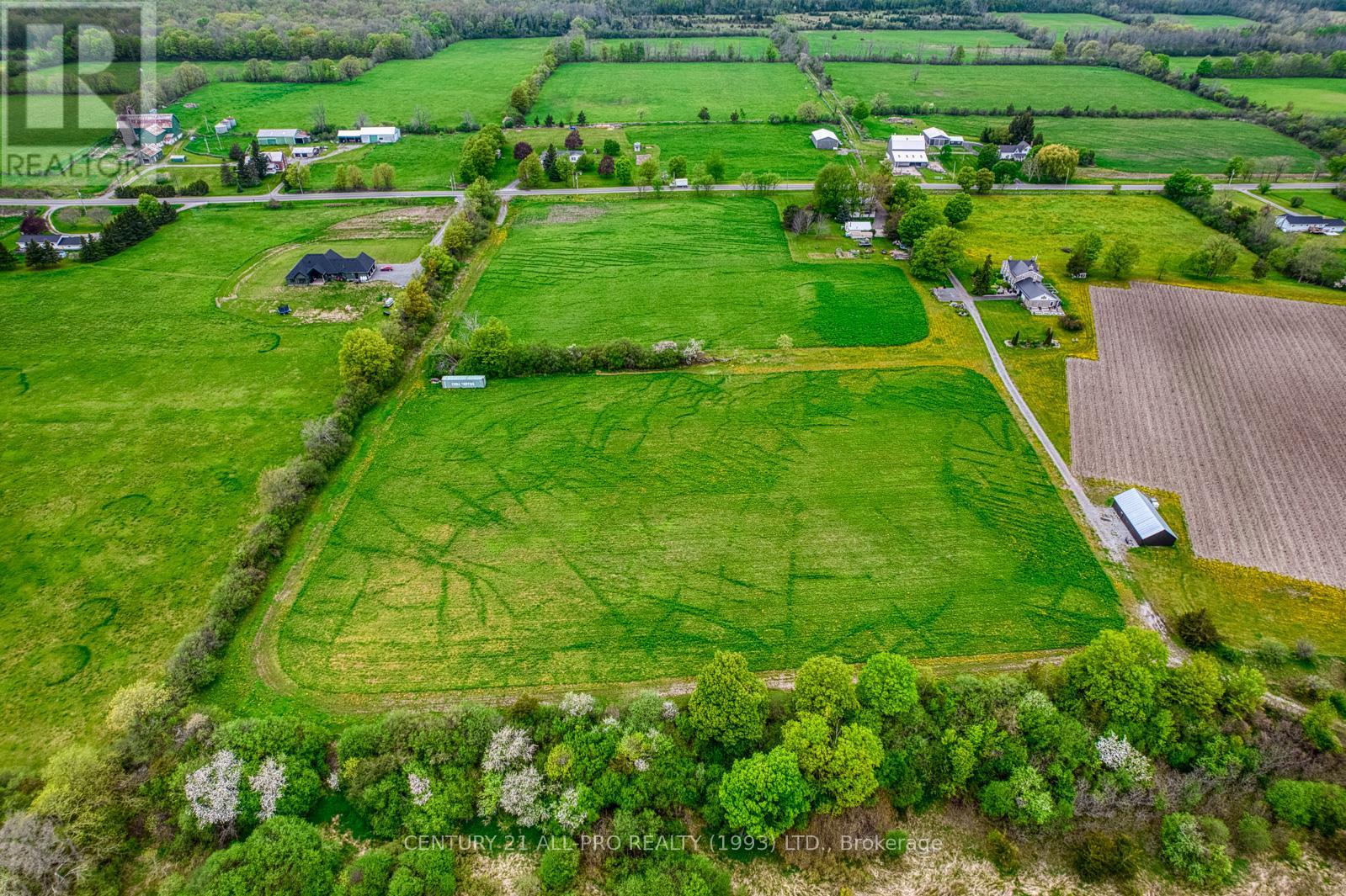 1259 County 19 Road, Prince Edward County (Ameliasburg Ward), Ontario  K0K 1T0 - Photo 11 - X12153266