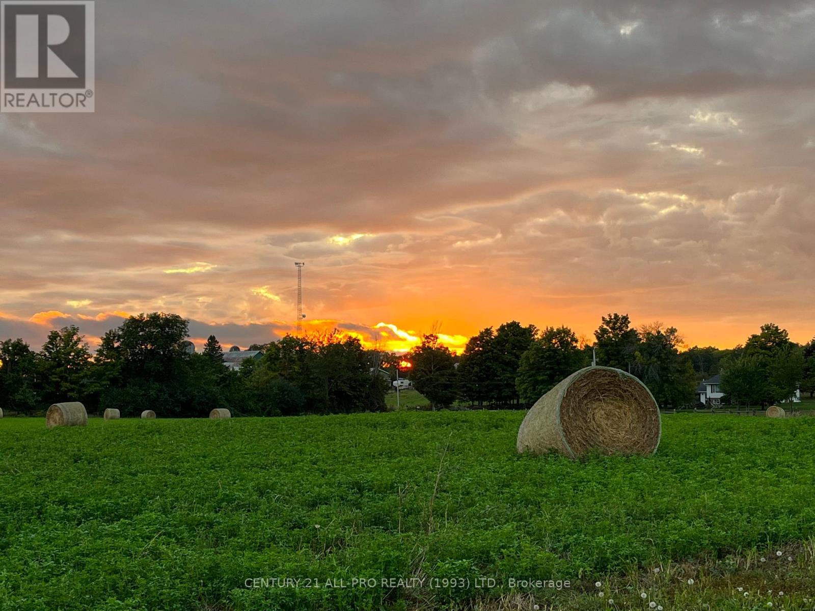 1259 County 19 Road, Prince Edward County (Ameliasburg Ward), Ontario  K0K 1T0 - Photo 3 - X12153266