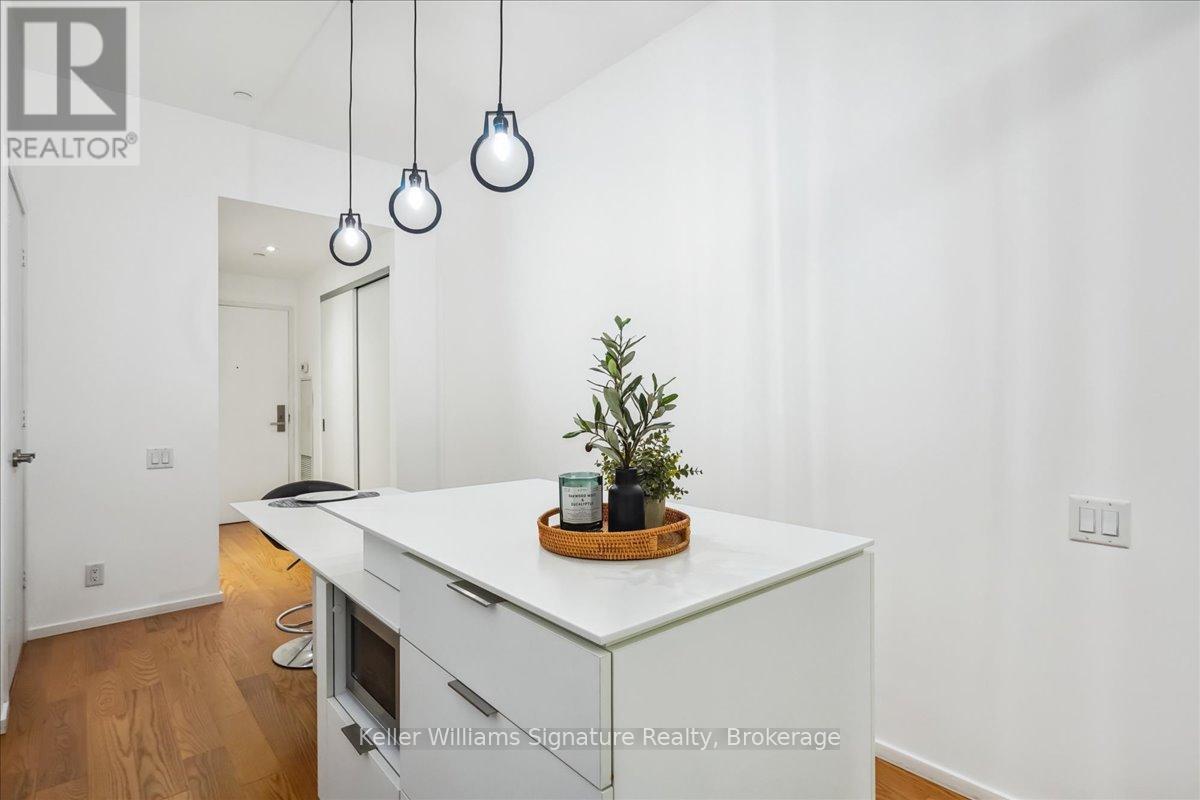 212 - 5 St Joseph Street, Toronto, Ontario  M4Y 1J6 - Photo 2 - C12153289